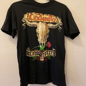 Vintage Cinderella long cold winter tshirt